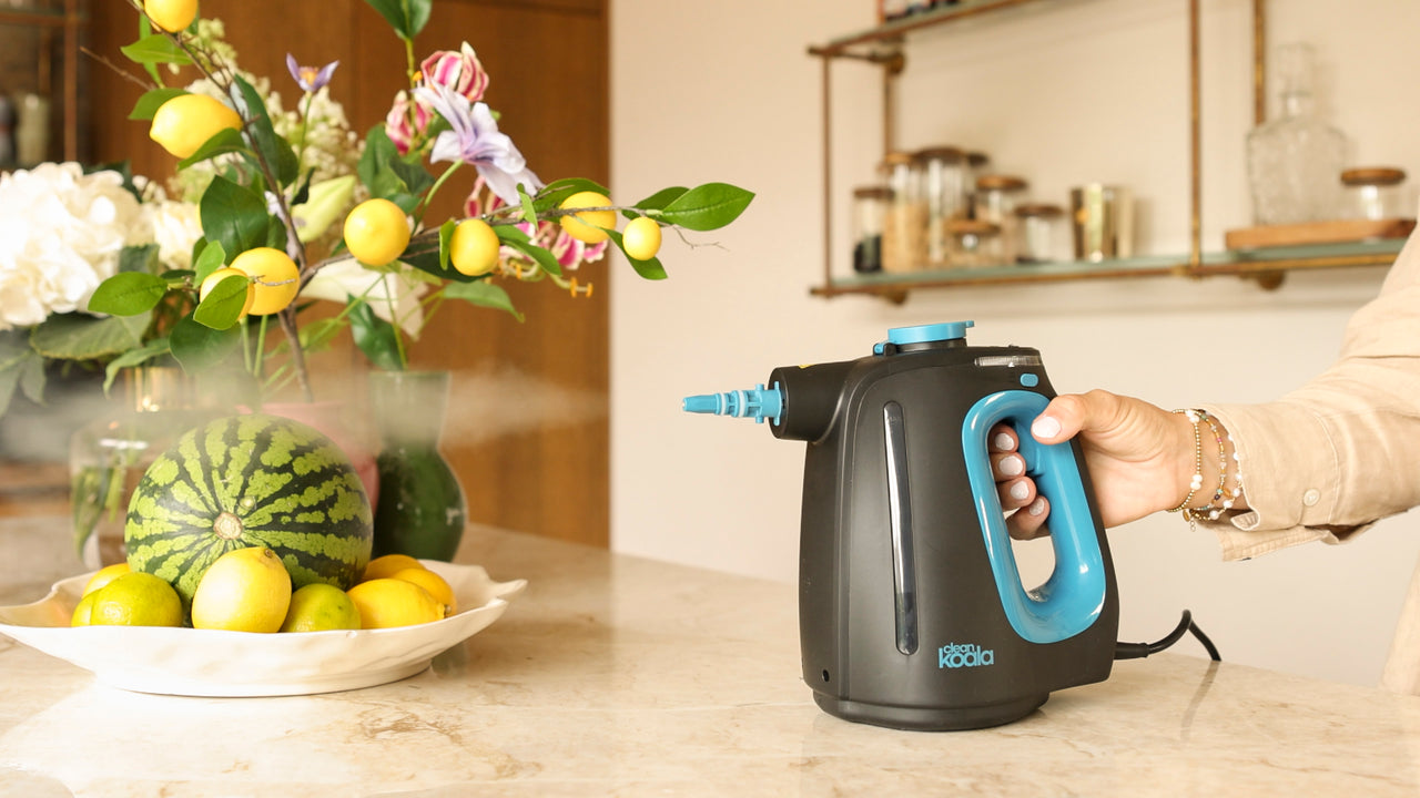 Handheld steam cleaner